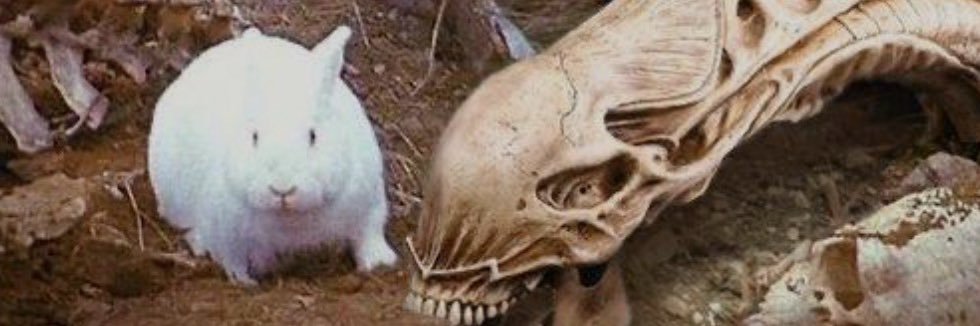 jackalope banner