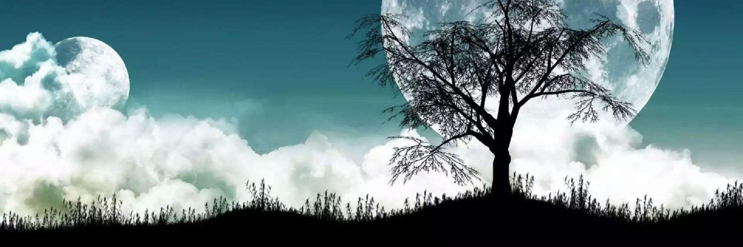 edwinpuello's profile banner image
