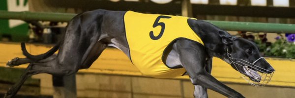 peitae Profile Banner