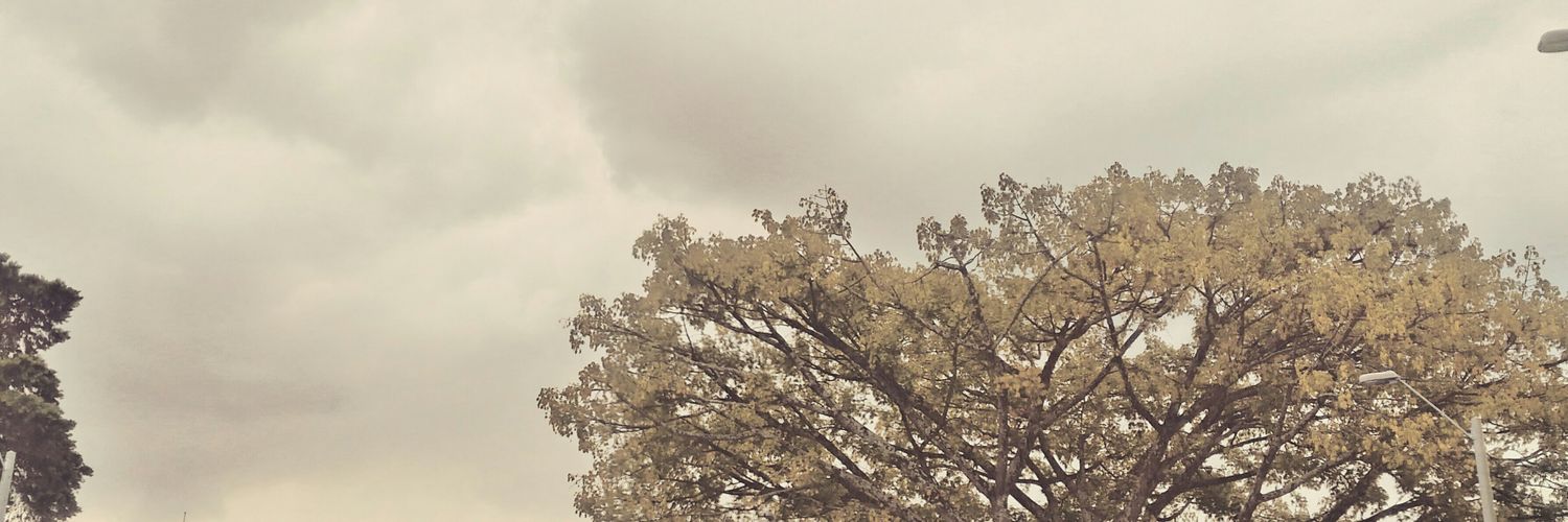 Adikki_'s profile banner image