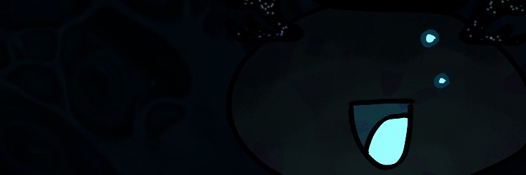 echo banner