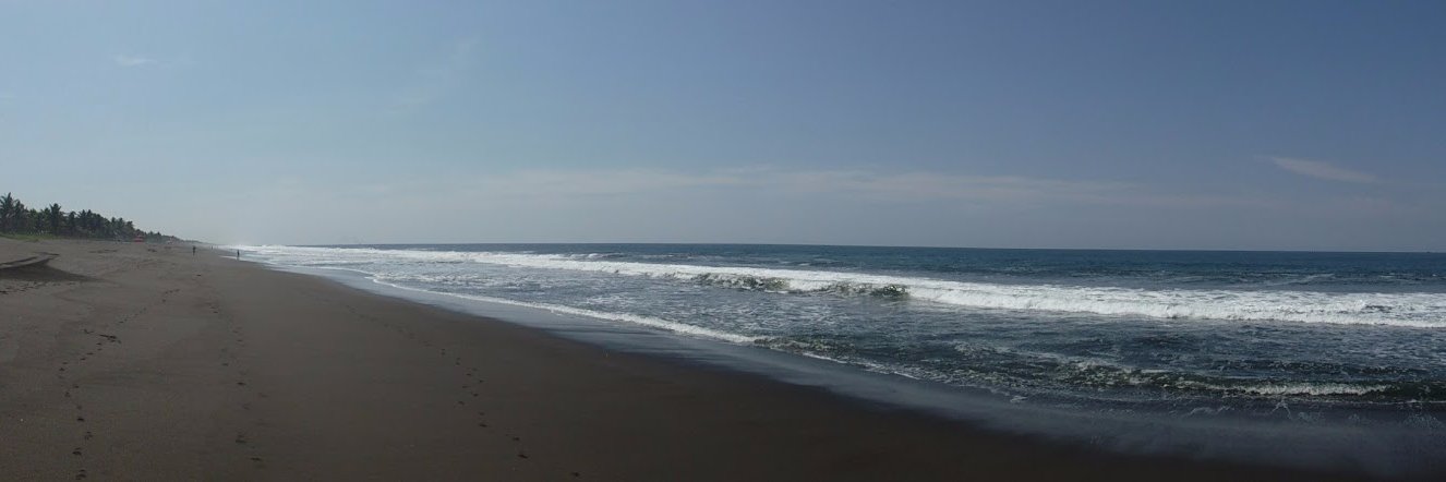 Johana🏳️‍⚧️ banner