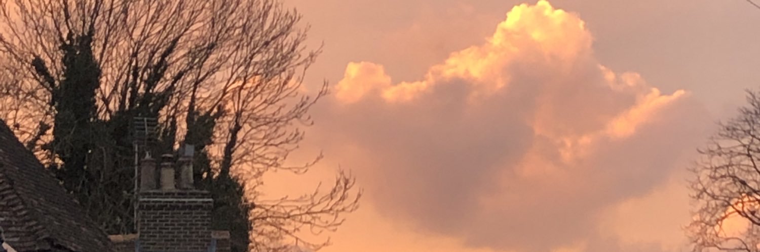 Michael Hunter banner