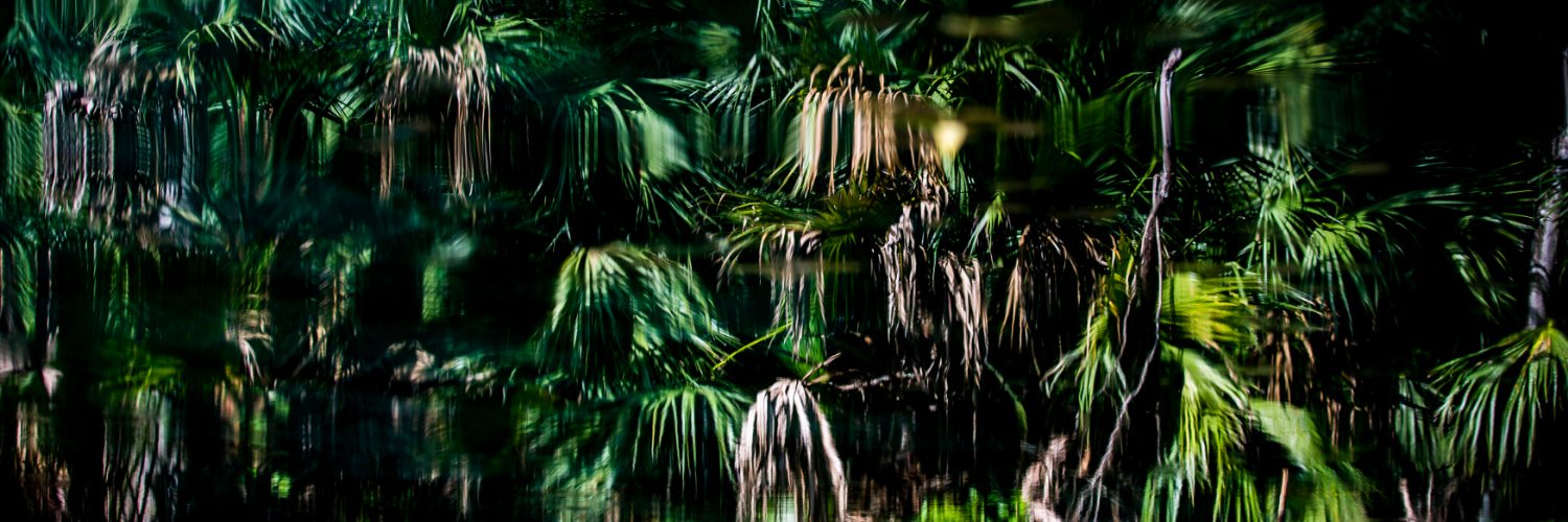 Patrick Connolly banner