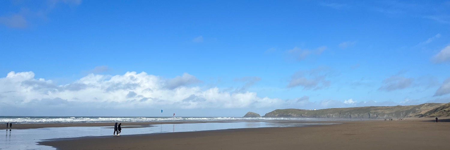 St Agnes Museum Leatherback Turtle banner