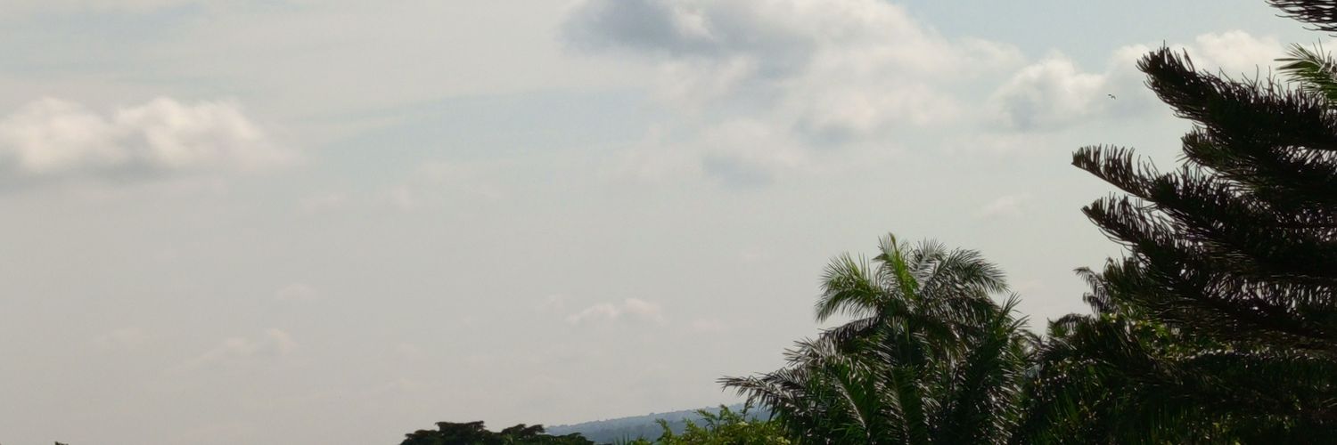Analysis Radar banner