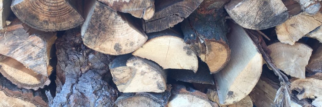 Tara King 📝 banner