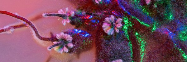 RSocPublishing Profile Banner