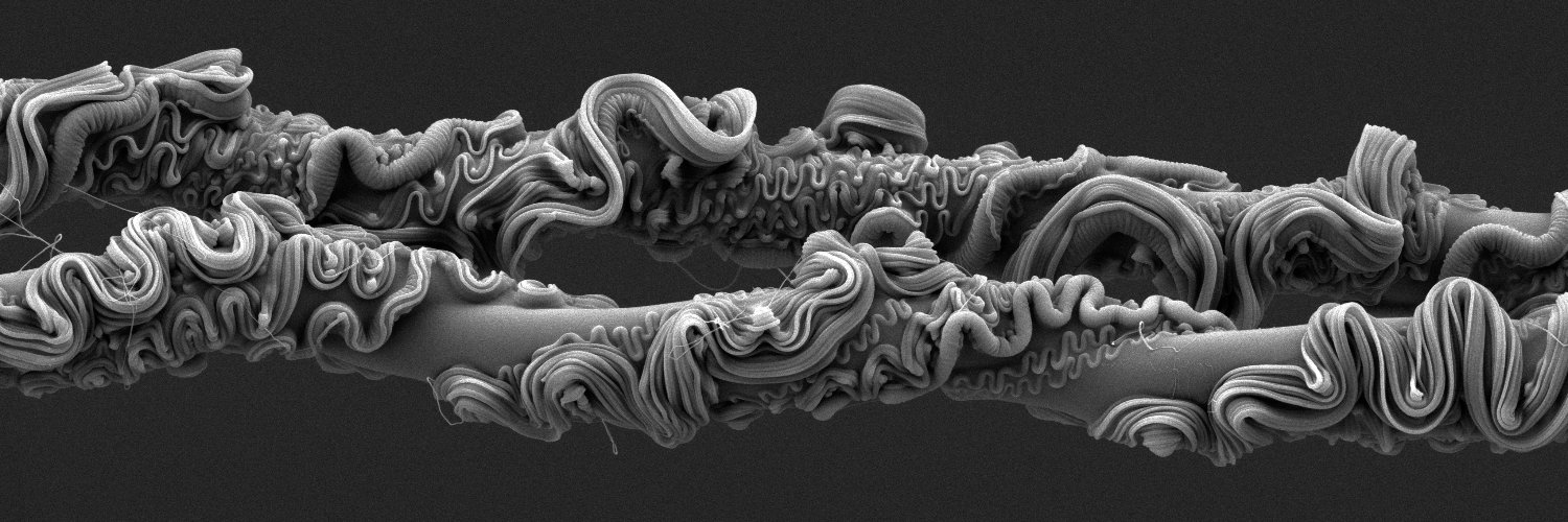 Royal Society Publishing banner