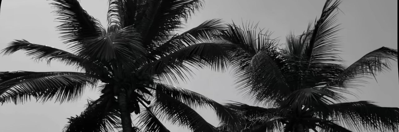 Watermelon banner