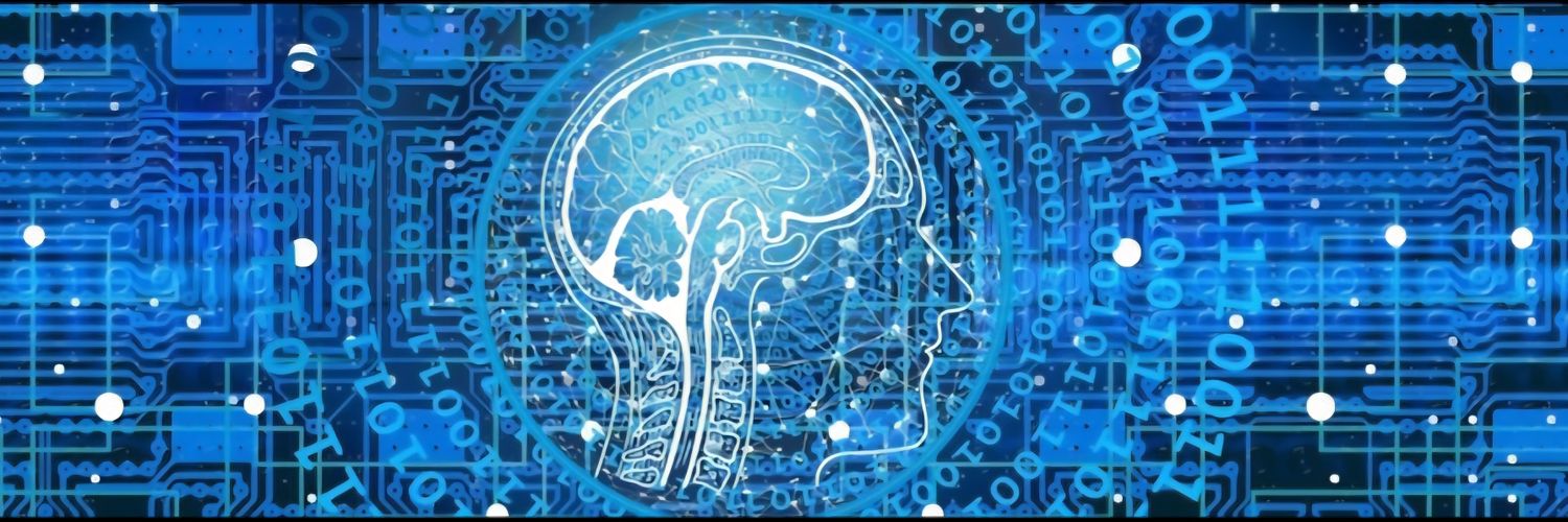 Nationalbrainmappinglab banner