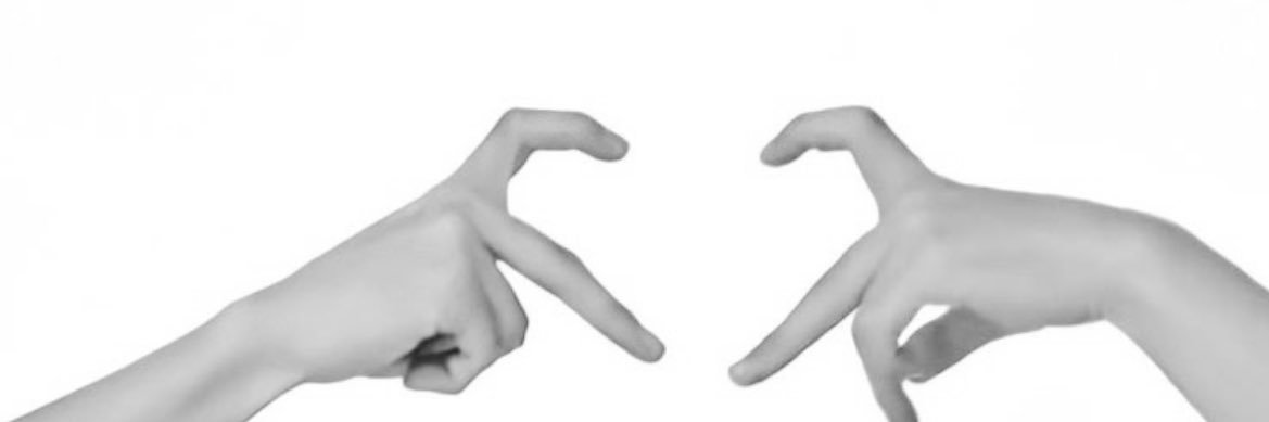 wyn banner