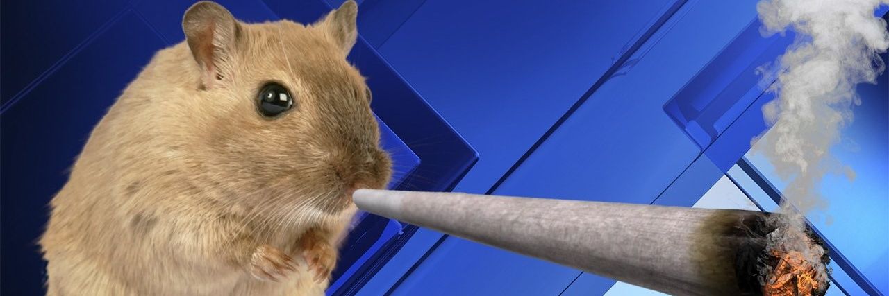 cavejam's profile banner image