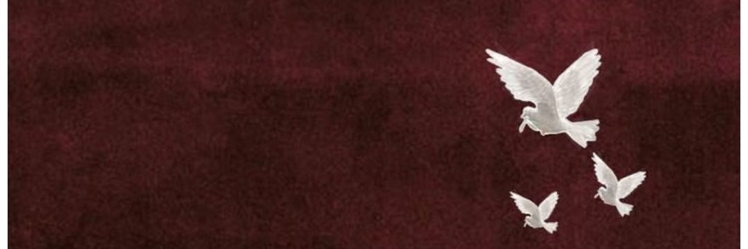 Nabad banner