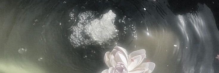 maivelog_'s profile banner image