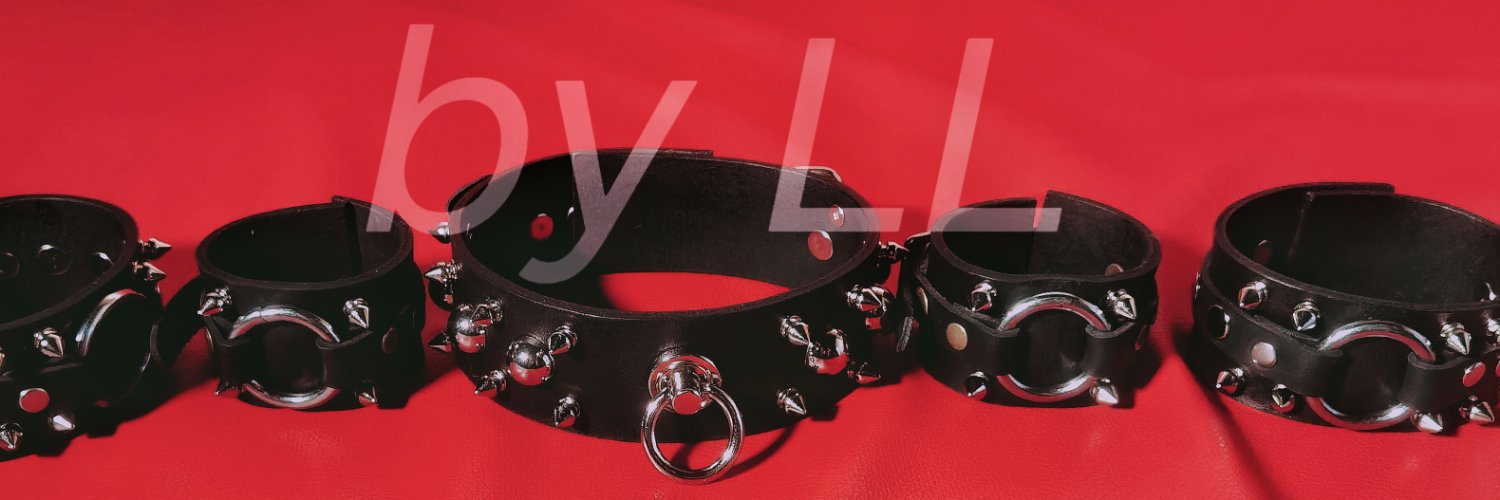 LLshibari's profile banner image
