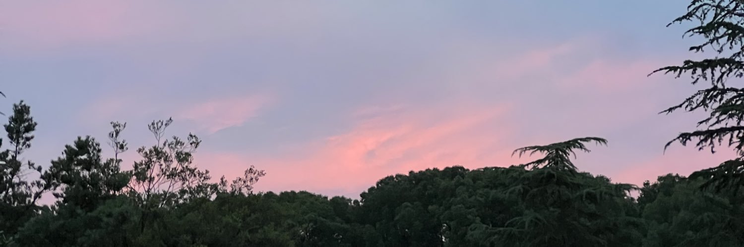 Mayuc38vv's profile banner image