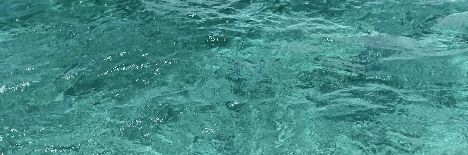 🥥 banner