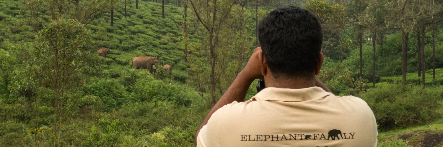 Elephant Family banner