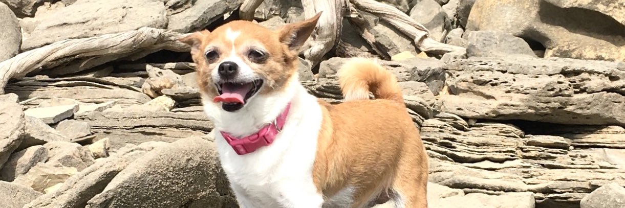 darahlogg's profile banner image