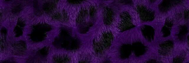 neduisalot's profile banner image