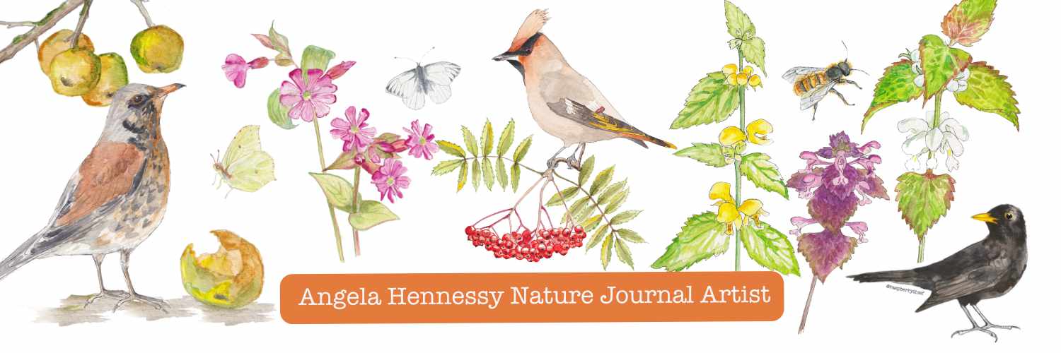 Angela Hennessy - Raspberry Thief banner