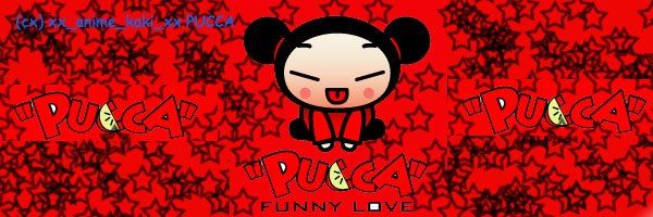 Pucca banner