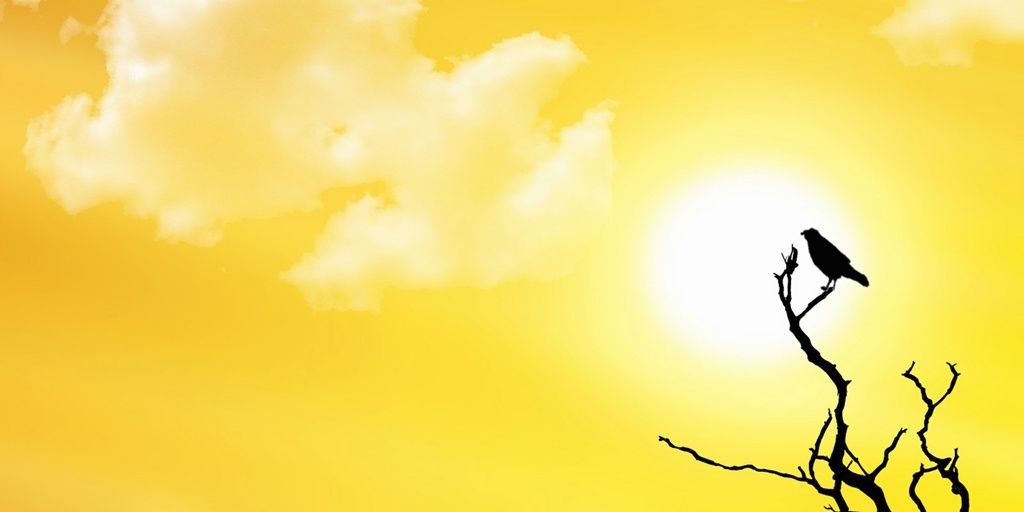 MazumdarDipayan's profile banner image