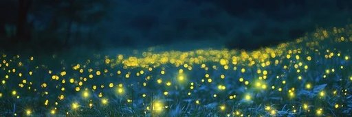 Firefly banner