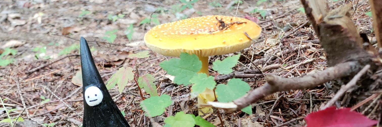 🌿 annie ⛅ banner