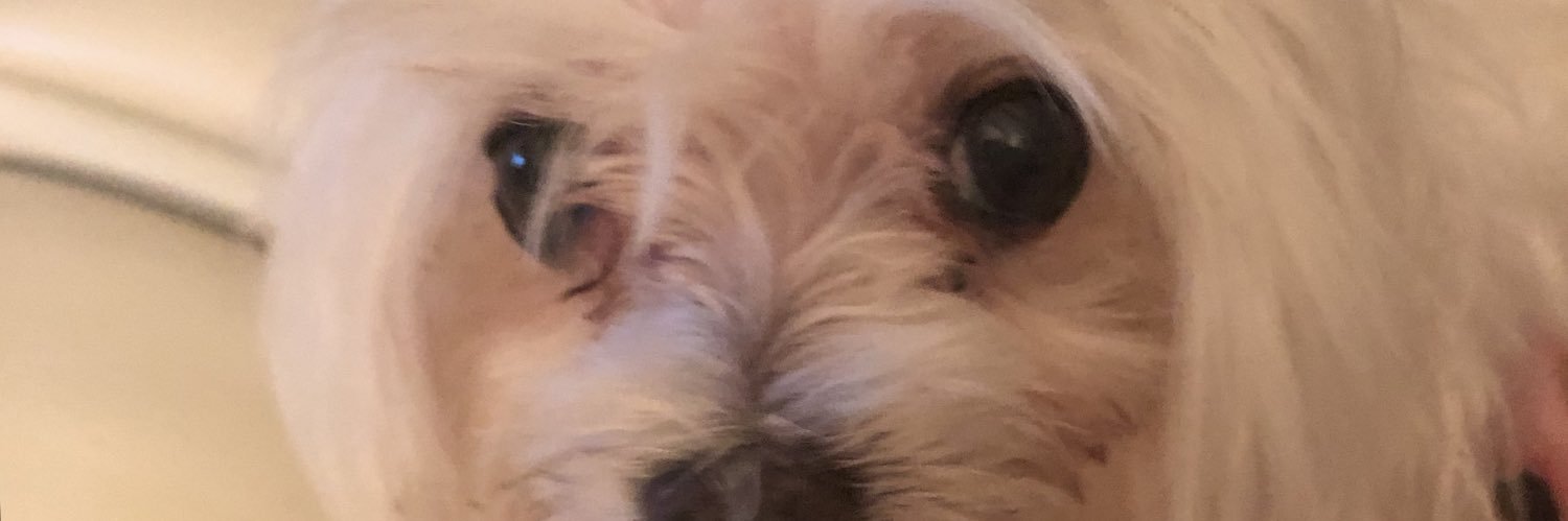 megynb's profile banner image