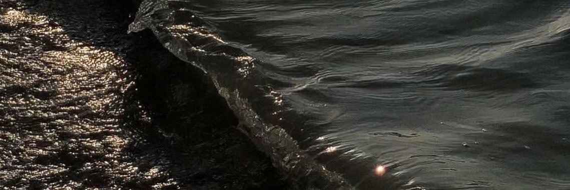 Sollenyaa's profile banner image