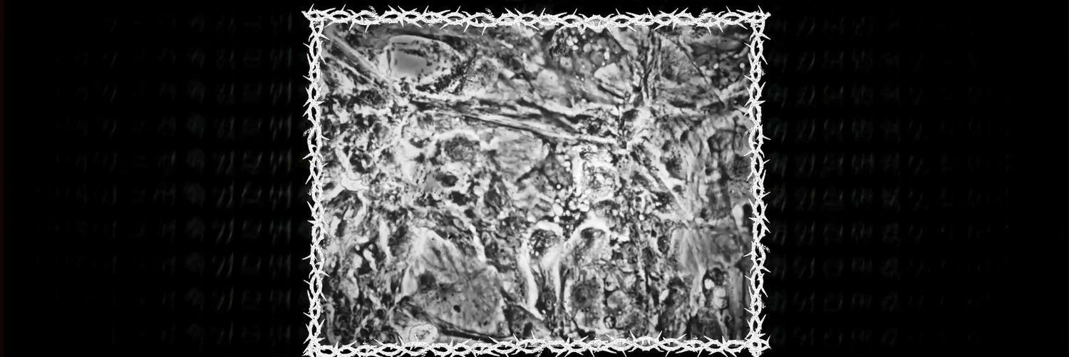 ohmorphine's profile banner image