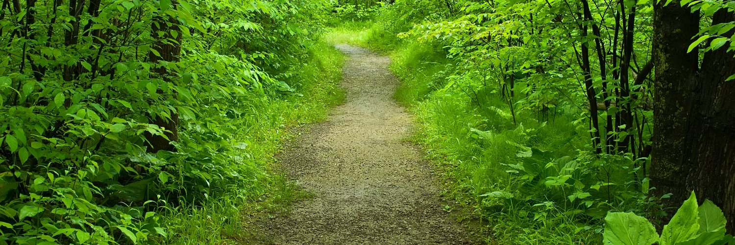 Josep París Giménez banner
