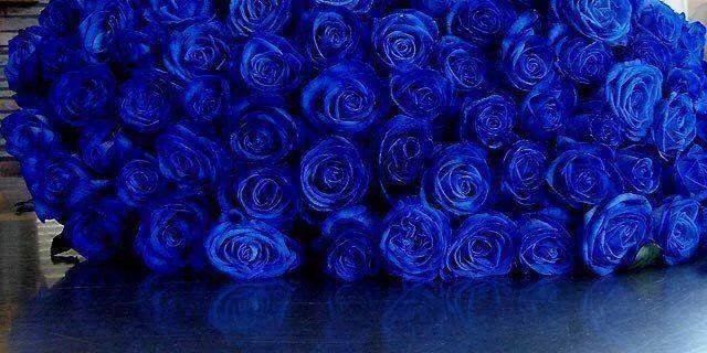 KittyGumDropz's profile banner image