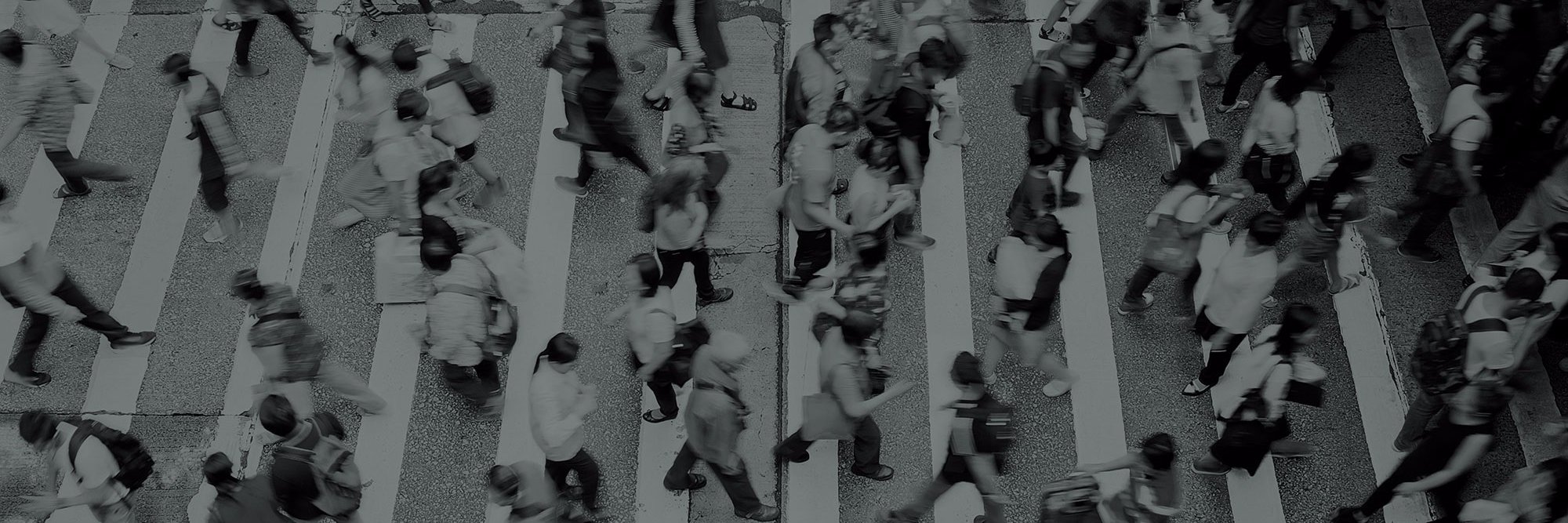 FrogBox Marketing banner