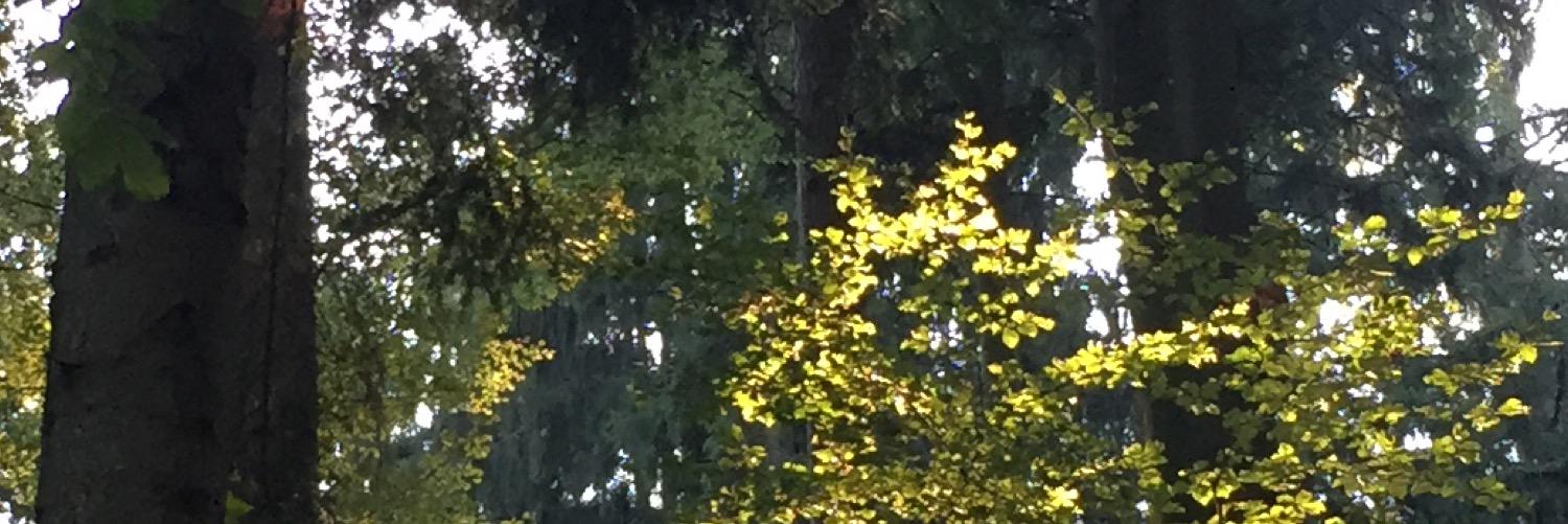 Martin Zahner banner