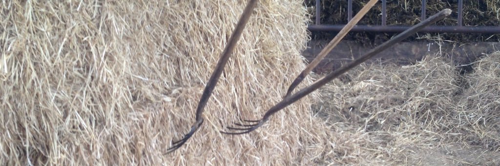 robin asquith banner