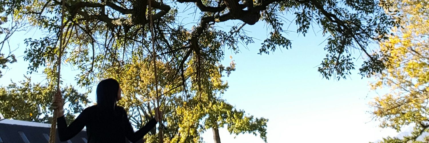 Twitter banner for @zainab12
