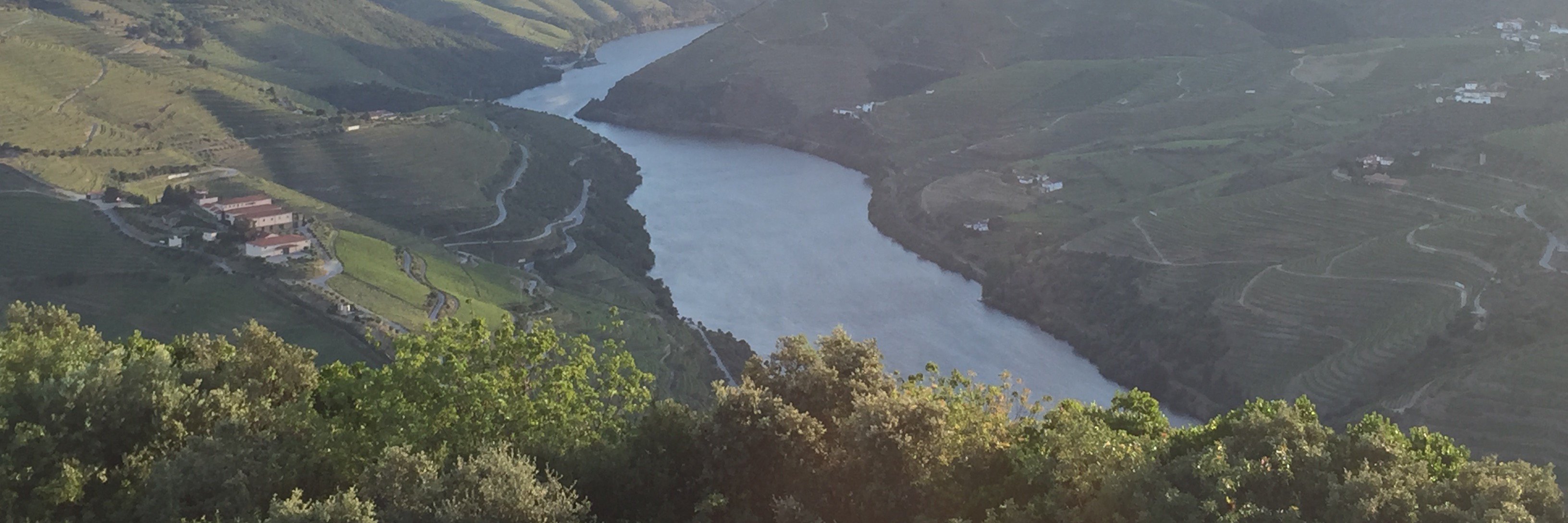 Justin Liddle banner