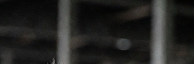 Hui banner