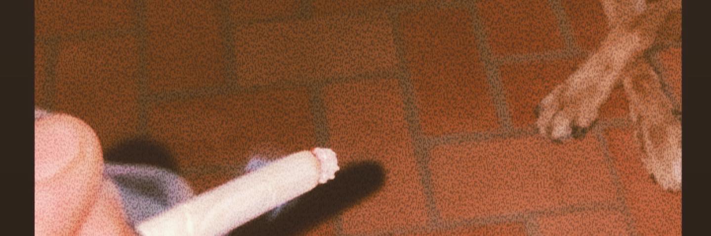 ToniDaMacaronii's profile banner image