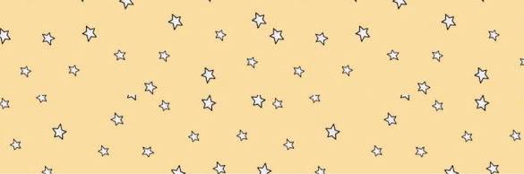 Sara banner