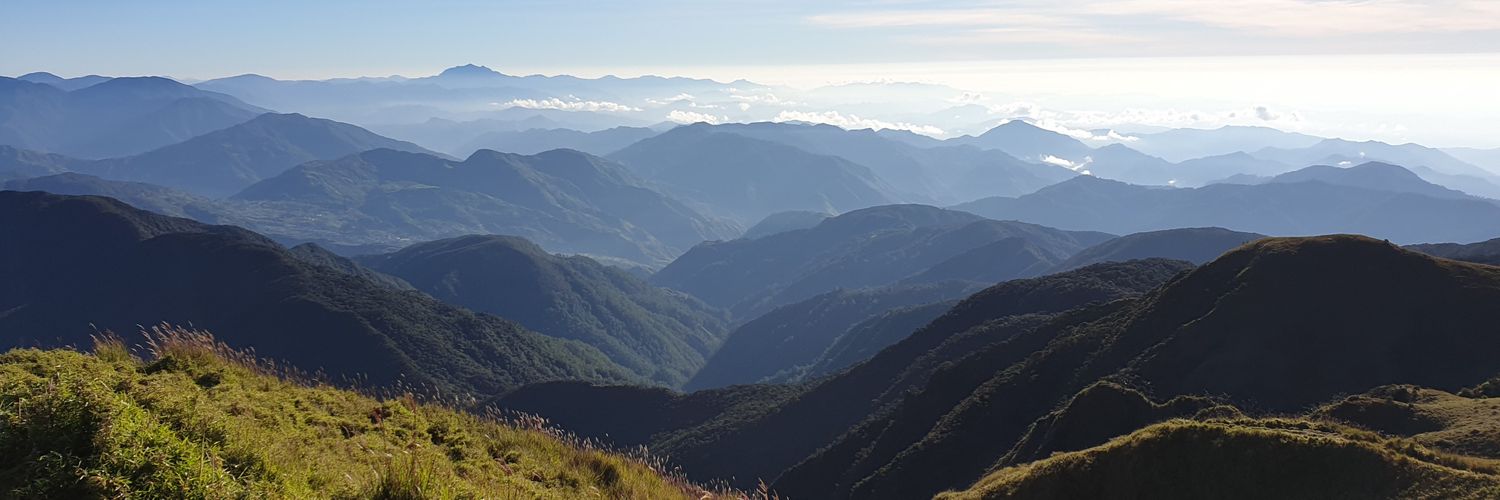 polagurl's profile banner image