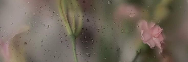 s banner