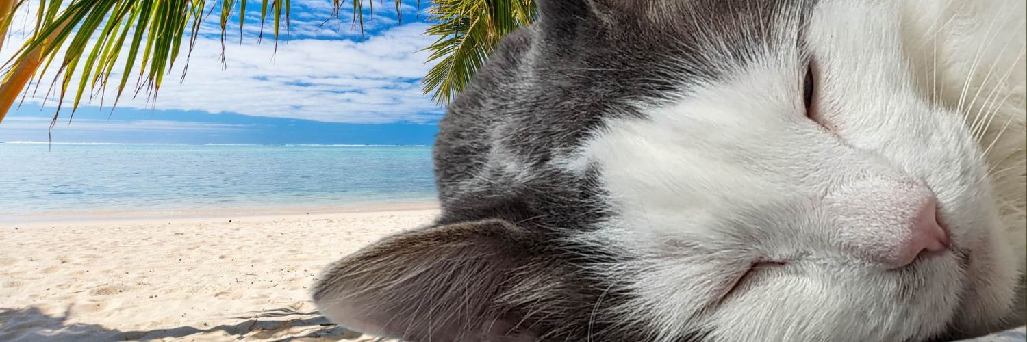 InvisiblAni's profile banner image