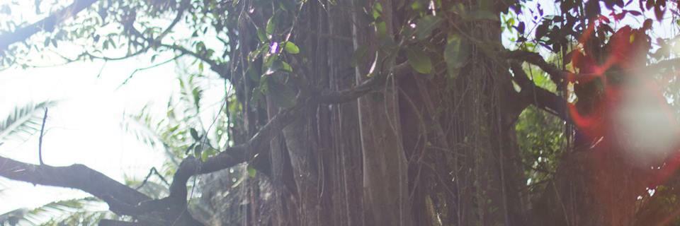 sbHannah's profile banner image