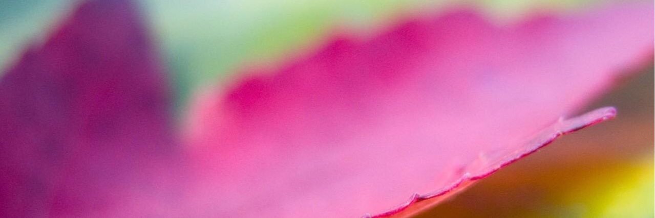 delia_grg's profile banner image