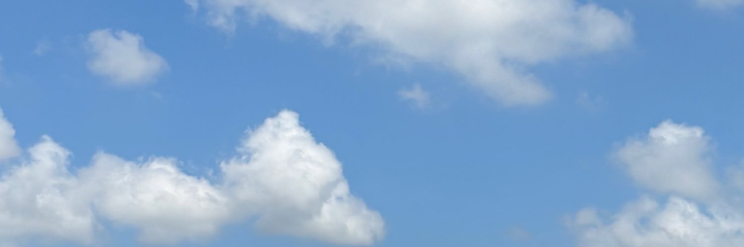 Ravieraa banner