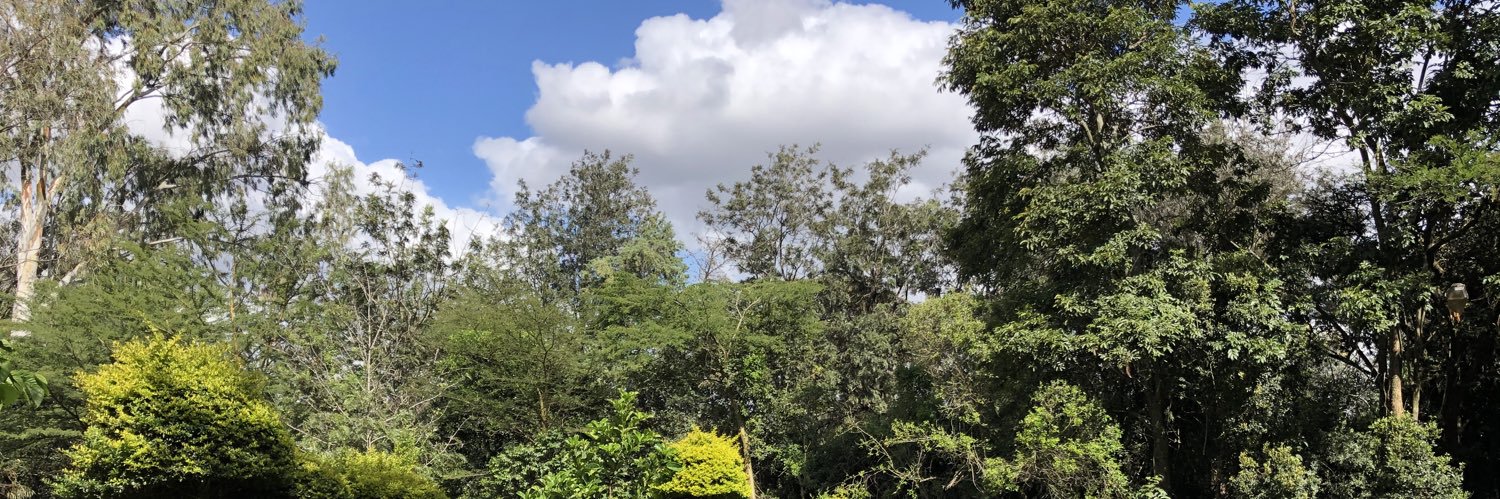 psonyango's profile banner image